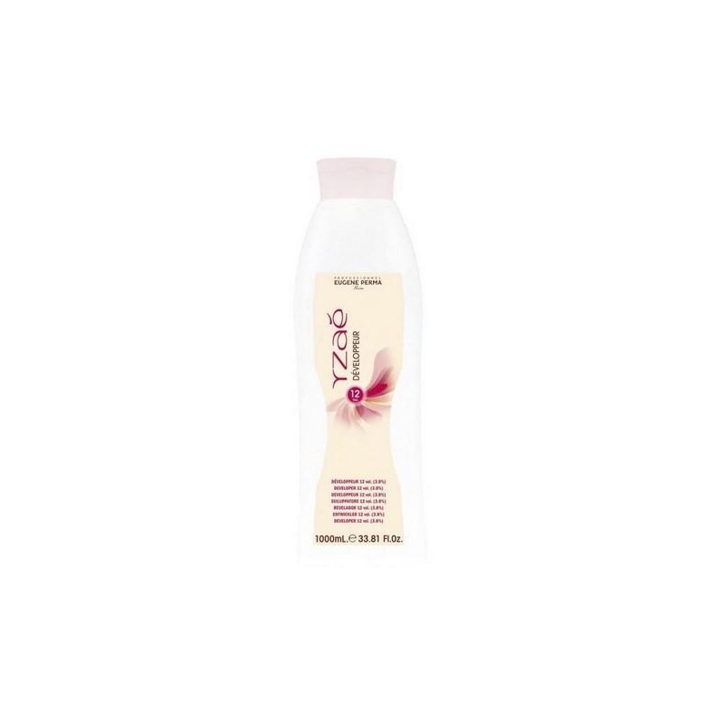 Yzae Developpeur 12vl 1litro 3,8  21028801