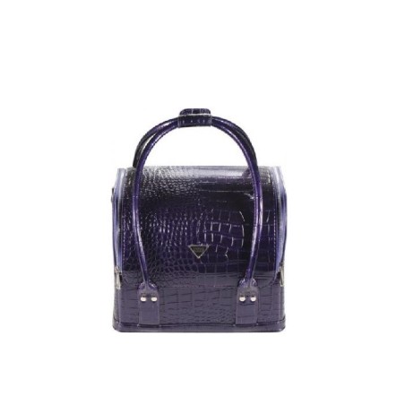 Ag Maleta Cosmeticos Violeta Polipiel Ref. 30108